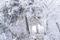 陜西降溫、吹風來襲 局地降溫可達10℃縮略圖
