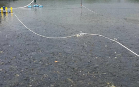 點(diǎn)贊！漢臺(tái)區(qū)成功創(chuàng)建國(guó)家級(jí)水產(chǎn)健康養(yǎng)殖和生態(tài)養(yǎng)殖示范區(qū)縮略圖