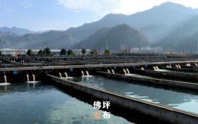 點(diǎn)贊！佛坪這一項(xiàng)目入國(guó)家農(nóng)業(yè)標(biāo)準(zhǔn)化示范區(qū)項(xiàng)目→縮略圖