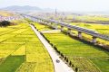 開往春天的列車！西安去漢中高鐵8分鐘一趟 說走就走縮略圖