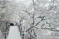 下雪了！漢中好多地方下雪了！縮略圖