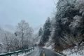 春雪別冬，觸處花開！縮略圖