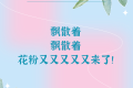 花粉季又又又又又來了，“過敏星人”怎樣度過？縮略圖