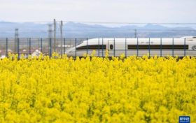 為期半年！即日起陜西將開展全省旅游市場價(jià)格專項(xiàng)檢查縮略圖