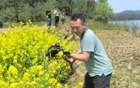 煙花三月，驚艷紅寺湖縮略圖