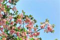 升溫！升溫！漢中向30℃發(fā)起進(jìn)擊！縮略圖