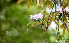 春游前，這份急救指南請(qǐng)先收好！縮略圖