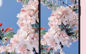 絕美春日壁紙已上新！將漢臺美景裝進(jìn)手機(jī)→縮略圖