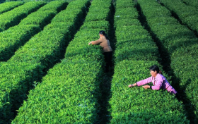 喜報！漢中新增3A級旅游景區(qū) →縮略圖