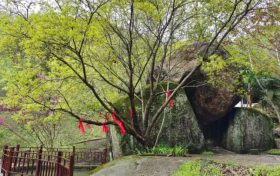 踏青賞春正當(dāng)時，相約漢江源享受好春光縮略圖