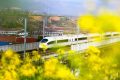 出行更方便！漢中、寧強(qiáng)南往返西安北加開多趟列車縮略圖