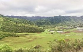 夏天來了，起居、飲食、運(yùn)動(dòng)有講究縮略圖