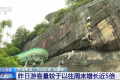 五一假期開局火爆 哪些消費呈現(xiàn)出強勁勢頭？縮略圖