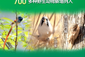 野豬正式調(diào)出“三有”名錄！專家：不代表可以隨意捕殺縮略圖