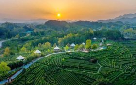 國家級(jí)名單公示！寧強(qiáng)一村入選→縮略圖