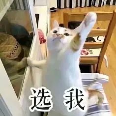 快來隨手拍城固，贏2000元大獎！