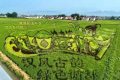 喜報(bào)！城固入選國(guó)家級(jí)創(chuàng)建單位名單縮略圖