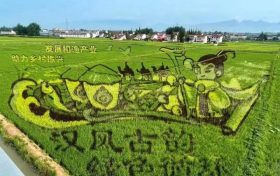 喜報！城固入選國家級創(chuàng)建單位名單縮略圖