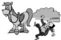 騎馬游玩致游客摔傷，誰來擔(dān)責(zé)？縮略圖