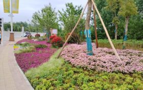 讓幸福加碼！南鄭民生實事項目新進(jìn)展——市民休閑公園改造項目縮略圖