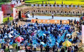 慶豐收，促和美 | 略陽縣第六屆中國(guó)農(nóng)民豐收節(jié)開幕縮略圖