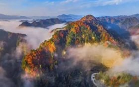 官方推薦！這個秋天來漢中→縮略圖