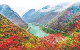 不負(fù)美景不負(fù)秋！不管你去不去，這份秋日攻“略”都值得收藏！縮略圖