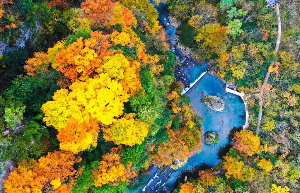 重磅！漢中這家4A景區(qū)全民免門(mén)票！