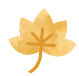 又是一年彩林季，漢江源彩林搶先看~