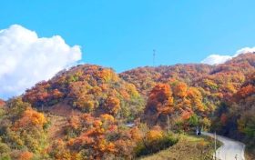 又是一年彩林季，漢江源彩林搶先看~縮略圖