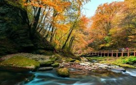重磅！漢中這家4A景區(qū)全民免門票！縮略圖