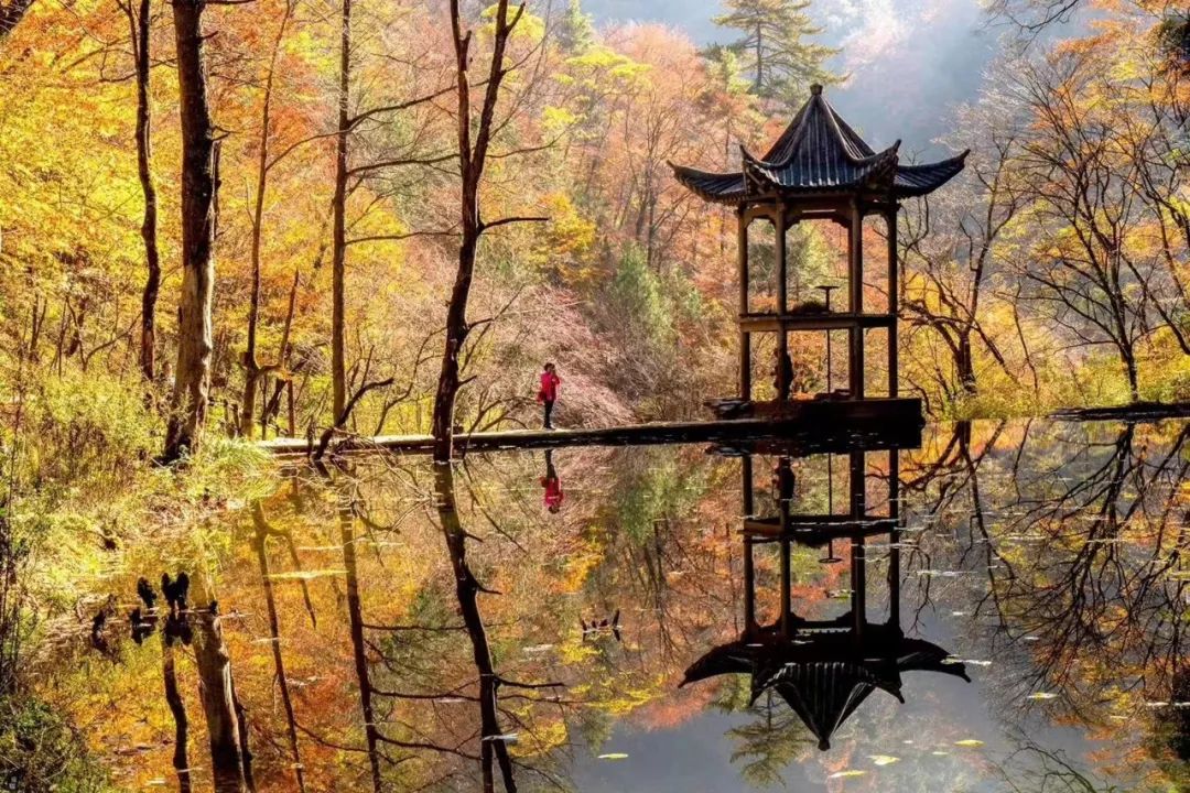 10月1日，漢中黎坪景區(qū)秋高氣爽、景色秀美，還不擁擠，趕緊出發(fā)嘍！