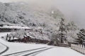就在今天，陜西太白山又下雪了！縮略圖