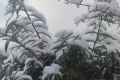 強風(fēng)雨天氣來襲，24日正式進入霜降節(jié)氣縮略圖