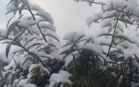 強(qiáng)風(fēng)雨天氣來襲，24日正式進(jìn)入霜降節(jié)氣縮略圖