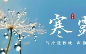 今天21時16分！迎來寒露節(jié)氣縮略圖