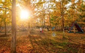 有一種美叫做西鄉(xiāng)的秋天！縮略圖