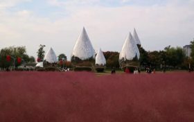 打卡！漢中城區(qū)這里人氣最高→縮略圖