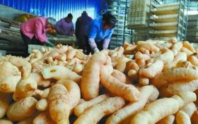 省級(jí)示范基地認(rèn)定！漢中上榜名單→縮略圖