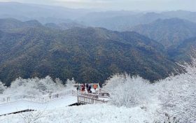 經(jīng)常感冒是怎么回事？該如何預(yù)防?縮略圖