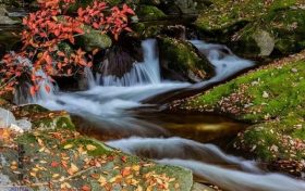 秋光短暫，快來(lái)打卡佛坪的絕美秋色！縮略圖