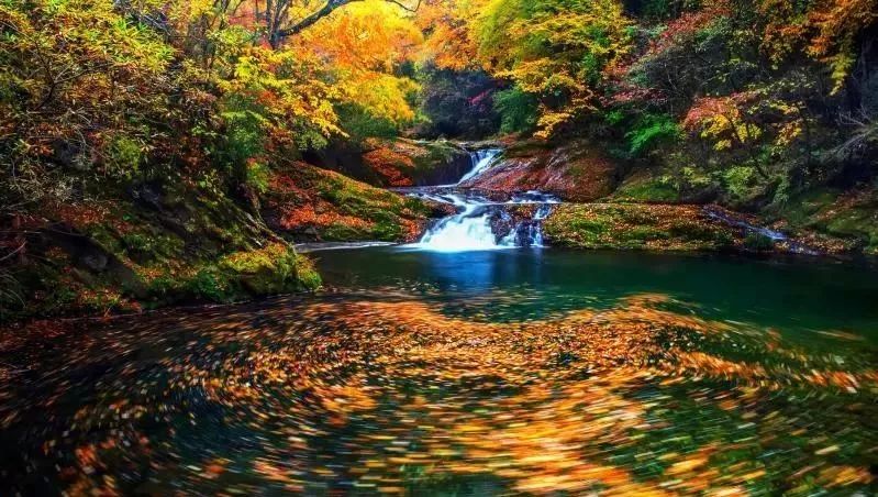 10月1日，漢中黎坪景區(qū)秋高氣爽、景色秀美，還不擁擠，趕緊出發(fā)嘍！