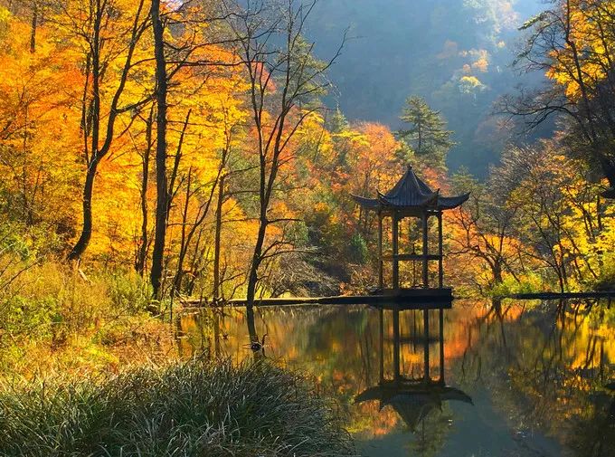 重磅！漢中這家4A景區(qū)全民免門(mén)票！