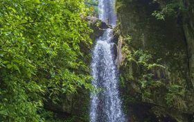 大霧黃色預(yù)警！漢中這些地方能見度低→縮略圖