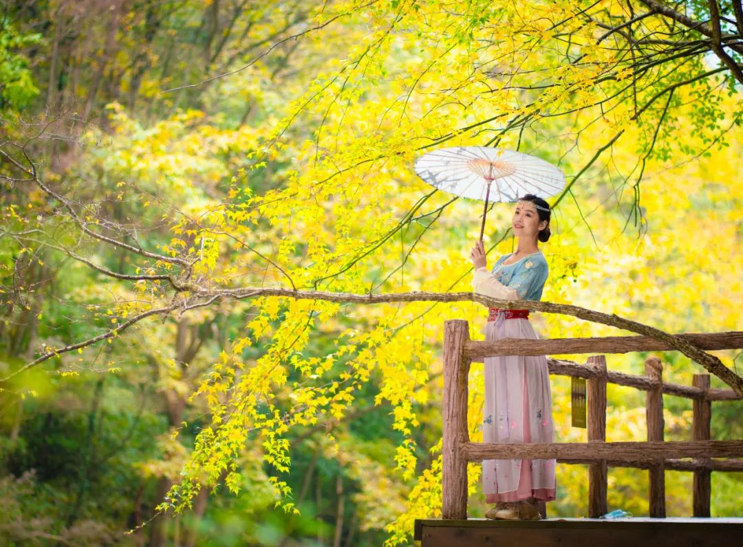 10月1日，漢中黎坪景區(qū)秋高氣爽、景色秀美，還不擁擠，趕緊出發(fā)嘍！