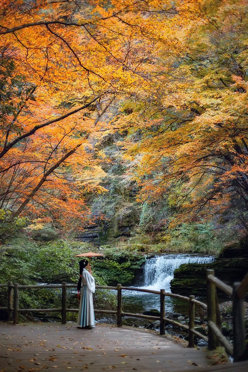 10月1日，漢中黎坪景區(qū)秋高氣爽、景色秀美，還不擁擠，趕緊出發(fā)嘍！
