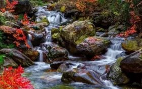 深秋美景正當(dāng)時(shí)，最美的佛坪秋意送給你~縮略圖