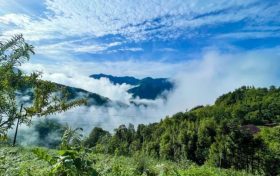 鎮(zhèn)巴最新出游打卡地，讓你心動又驚喜!縮略圖