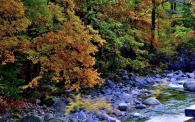 秋日勝春朝！佛坪的晚秋美景太絕了!縮略圖