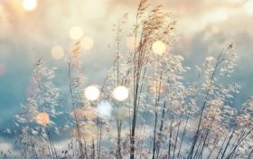 氣溫短暫回升！下周冷空氣再度來襲縮略圖